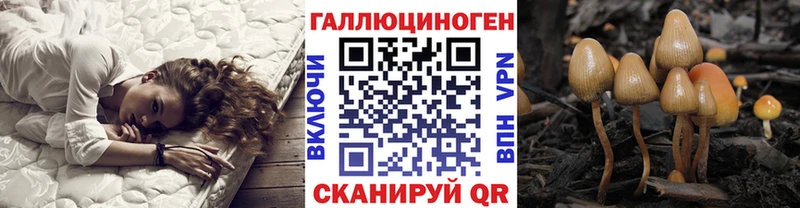 Галлюциногенные грибы Cubensis  Славянск-на-Кубани 